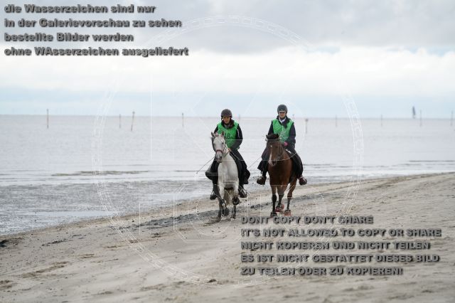 s_K3F04694.JPG